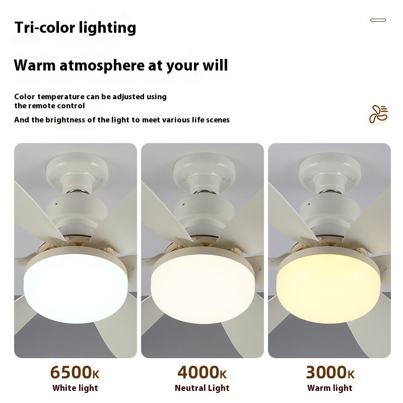 Screw Bedroom Living Room Ceiling Fan Lights Wind Mute Ceiling Fan Lights